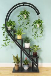 Living and Home Curved 6-Tier Plant Stand Bonsai Display Shelf Flower Rack Holder Shelf in Black