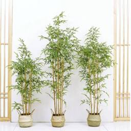 EONLION 60cm Artificial Bamboo Tree Fake in Green - Size: 100 cm - thumbnail 3