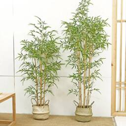 EONLION 60cm Artificial Bamboo Tree Fake in Green - Size: 100 cm - thumbnail 5