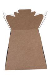 KDMD Natural Kraft Living Vase Vase design for everyday use - thumbnail 2