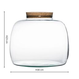Ivyline Bowl Shape Large Terrarium DIY Kit H23cm D30cm- Perfect for gifting in Clear - thumbnail 4