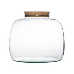 Ivyline Bowl Shape Large Terrarium DIY Kit H23cm D30cm- Perfect for gifting in Clear - thumbnail 2
