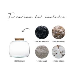 Ivyline Bowl Shape Large Terrarium DIY Kit H23cm D30cm- Perfect for gifting in Clear - thumbnail 3