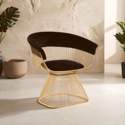 Orsina Elegant Black Velvet & Gold Finish Chair, Durable & Sturdy Dining Chair, Versatile Breakfast Room Chair