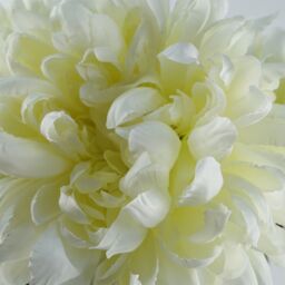 Leaf 75cm Artificial Extra Large Reflex Chrysanthemum White - thumbnail 2