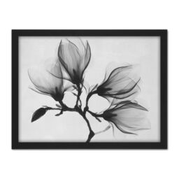 "Artery8 Wall Art Print Magnolia Branch X-Ray Large Framed Wall Décor Art in White - Size: W18"" x H24""" - thumbnail 1