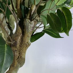 Leaf 100cm Premium Artificial Ficus Twist Tree Copper Planter in Green - thumbnail 3