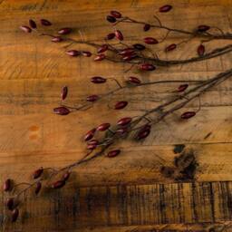 Wyld Haus Set of 3 Burgundy Rosehip Artificial Stems in Red - thumbnail 4
