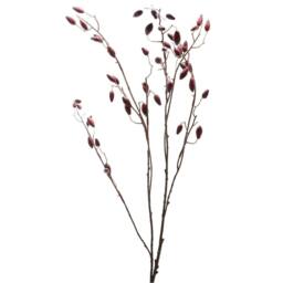 Wyld Haus Set of 3 Burgundy Rosehip Artificial Stems in Red - thumbnail 2
