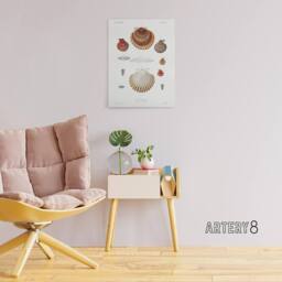 "Artery8 Clam shell varieties Augustus Gould Canvas Wall Art Print in White - Size: W18"" x H24""" - thumbnail 3