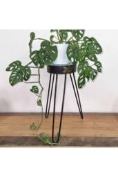 KDMD Albasia Wood Plant Stand - Turquoise & Gold Decor for Indoor Plants - thumbnail 4