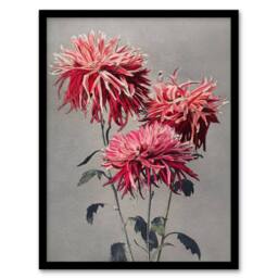 Artery8 Pink Chrysanthemum Flowers Vintage Japan Framed Wall Art Print Kazumasa - Size: A4 - thumbnail 1