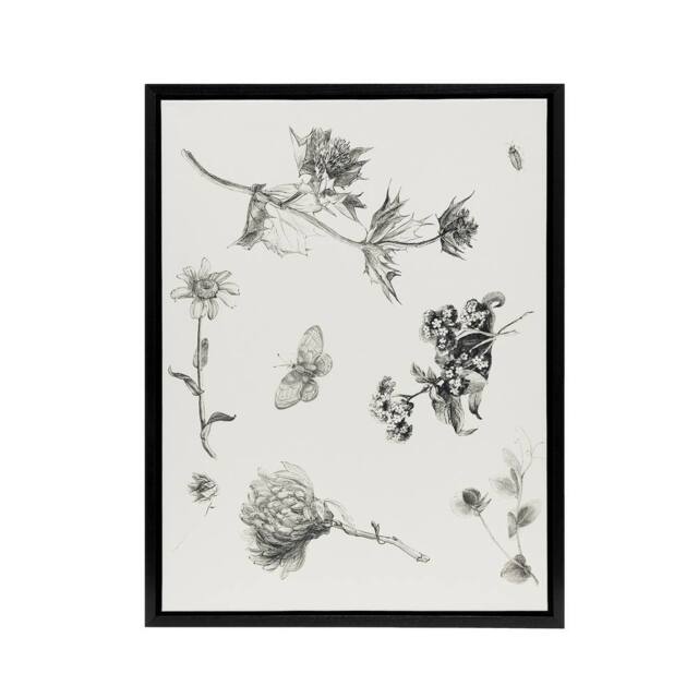"Artery8 Flowers Leaves Butterfly Drawing Framed Canvas Wall Art Print Hoytema in White - Size: W12"" x H16""" - image 1
