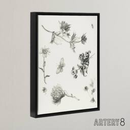 "Artery8 Flowers Leaves Butterfly Drawing Framed Canvas Wall Art Print Hoytema in White - Size: W12"" x H16""" - thumbnail 2