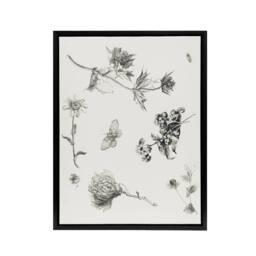 "Artery8 Flowers Leaves Butterfly Drawing Framed Canvas Wall Art Print Hoytema in White - Size: W12"" x H16""" - thumbnail 1