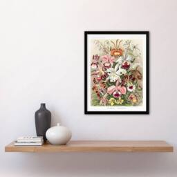 Artery8 Ernst Haeckel Framed Wall Art Print Orchid Flower Colourful Varieties - Size: A4 - thumbnail 2