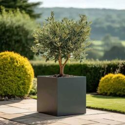 Access Garden Products 60cm Zinc Galvanised Matte Grey Square Planter - thumbnail 1
