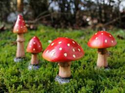 Marco Paul Set of 4 Red Mushroom Fairy Ornaments - thumbnail 1