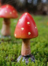 Marco Paul Set of 4 Red Mushroom Fairy Ornaments - thumbnail 4