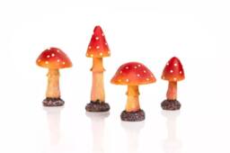 Marco Paul Set of 4 Red Mushroom Fairy Ornaments - thumbnail 6