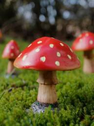 Marco Paul Set of 4 Red Mushroom Fairy Ornaments - thumbnail 3