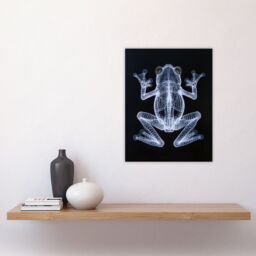 "Artery8 Frog Detailed Dark Luminescent Xray Effect Wall Art Print in Black - Size: W24"" x H32""" - thumbnail 4