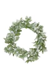 KDMD Dusty Miller & Hops Wreath 60cm in Green - thumbnail 2