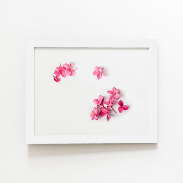 "Warren Reed - Designer Pink Frangipani Flowers Framed Art Print in White - Size: W16"" x H24""" - image 1