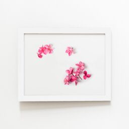"Warren Reed - Designer Pink Frangipani Flowers Framed Art Print in White - Size: W16"" x H24""" - thumbnail 2