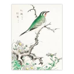 Artery8 Numata Kashu Framed Wall Art Print Ruby Throat Bird & Wild Camomile - Size: A3 - thumbnail 3