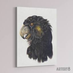 "Artery8 Cockatoo Parrot Head Schouman Watercolour Canvas Wall Art Print in White - Size: W12"" x H16""" - thumbnail 2
