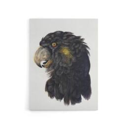 "Artery8 Cockatoo Parrot Head Schouman Watercolour Canvas Wall Art Print in White - Size: W12"" x H16""" - thumbnail 1