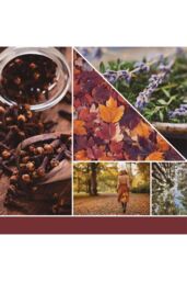 Yankee Candle Autumn Daydream Signature Large Jar Candle - thumbnail 6