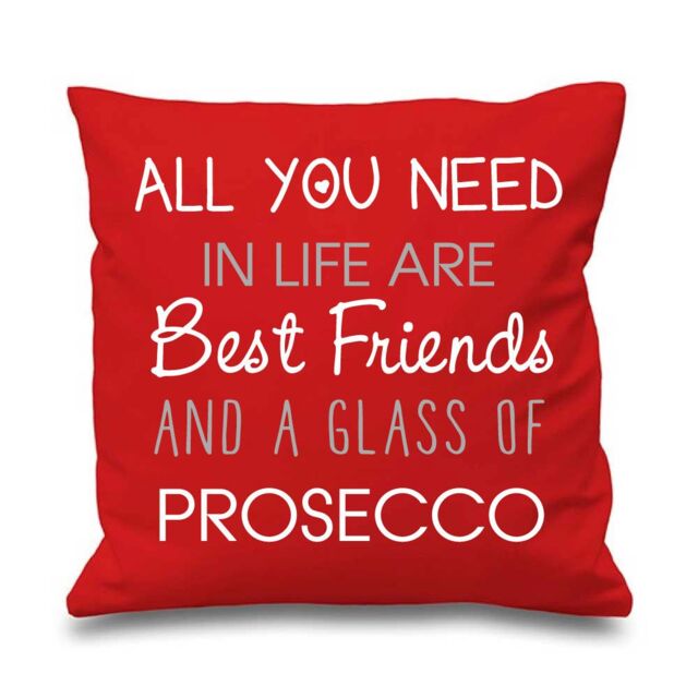 "60 SECOND MAKEOVER Red Cushion Cover All You Need In Life Are Best Friends & A Glass Of Prosecco 16"" x 16"" Mum Friend Gift Decorative Cus"