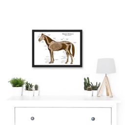 Artery8 Horse Anatomy Diagram Vets Animals Skeleton Bones A4 Artwork Framed Wall Art Print in Black - thumbnail 2