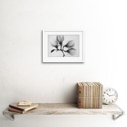 "Artery8 Wall Art Print Magnolia Branch Xray Photo Art Black Framed 9x7 inch in White - Size: W7"" x H9""" - thumbnail 2