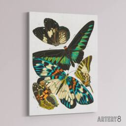 "Artery8 Vintage Butterflies Green Blue Canvas Wall Art Print Eugene Seguy - Size: W24"" x H32""" - thumbnail 2