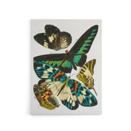 "Artery8 Vintage Butterflies Green Blue Canvas Wall Art Print Eugene Seguy - Size: W24"" x H32""" - thumbnail 1