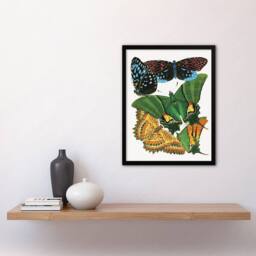 Artery8 Vintage Vibrant Butterflies Papillon Framed Wall Art Print Eugene Seguy - Size: A4 - thumbnail 4