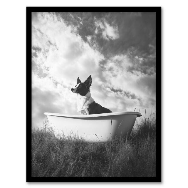 "Artery8 Collie in a Bathtub Black White Surreal Dog Lover Framed Art Print in Grey - Size: W12"" x H16""" - image 1