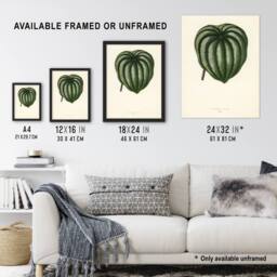 Artery8 Vintage Botanical Pepper Elder Leaf Fawcett Framed Wall Art Print in Beige - Size: A4 - thumbnail 3