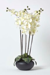 Homescapes Luxury Artificial Orchid in Black Bowl, 79 cm, Cream