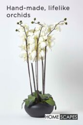 Homescapes Luxury Artificial Orchid in Black Bowl, 79 cm, Cream - thumbnail 2