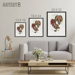 "Artery8 AF Lydon B Fawcett Passiflora Trifasciata Leaves Framed Canvas Art in White - Size: W12"" x H16""" - thumbnail 4
