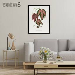 "Artery8 AF Lydon B Fawcett Passiflora Trifasciata Leaves Framed Canvas Art in White - Size: W12"" x H16""" - thumbnail 3