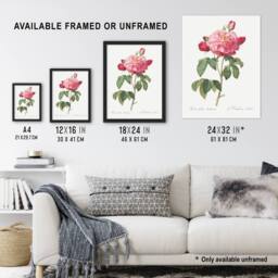 "Artery8 French Rose Botanical Redoute Vintage Wall Art Print Poster in White - Size: W12"" x H16""" - thumbnail 3