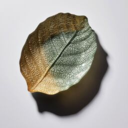 Sienna Glass Glass Plate Leaf Design Green & Gold - thumbnail 5