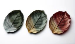 Sienna Glass Glass Plate Leaf Design Green & Gold - thumbnail 3