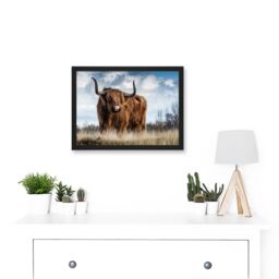 Artery8 Scottish Highland Cow Hairy Coo Photo Artwork Framed Wall Art Print A4 in Black - thumbnail 2