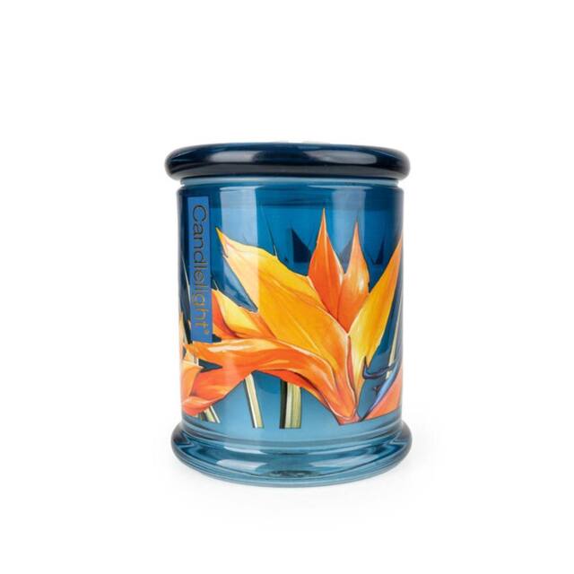 Madison & Mayfair Paradise Flower & Mango Large Lidded Jar Candle in Blue - image 1
